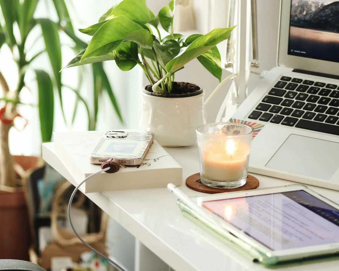 Tltravail : 5 plantes idales pour votre bureau