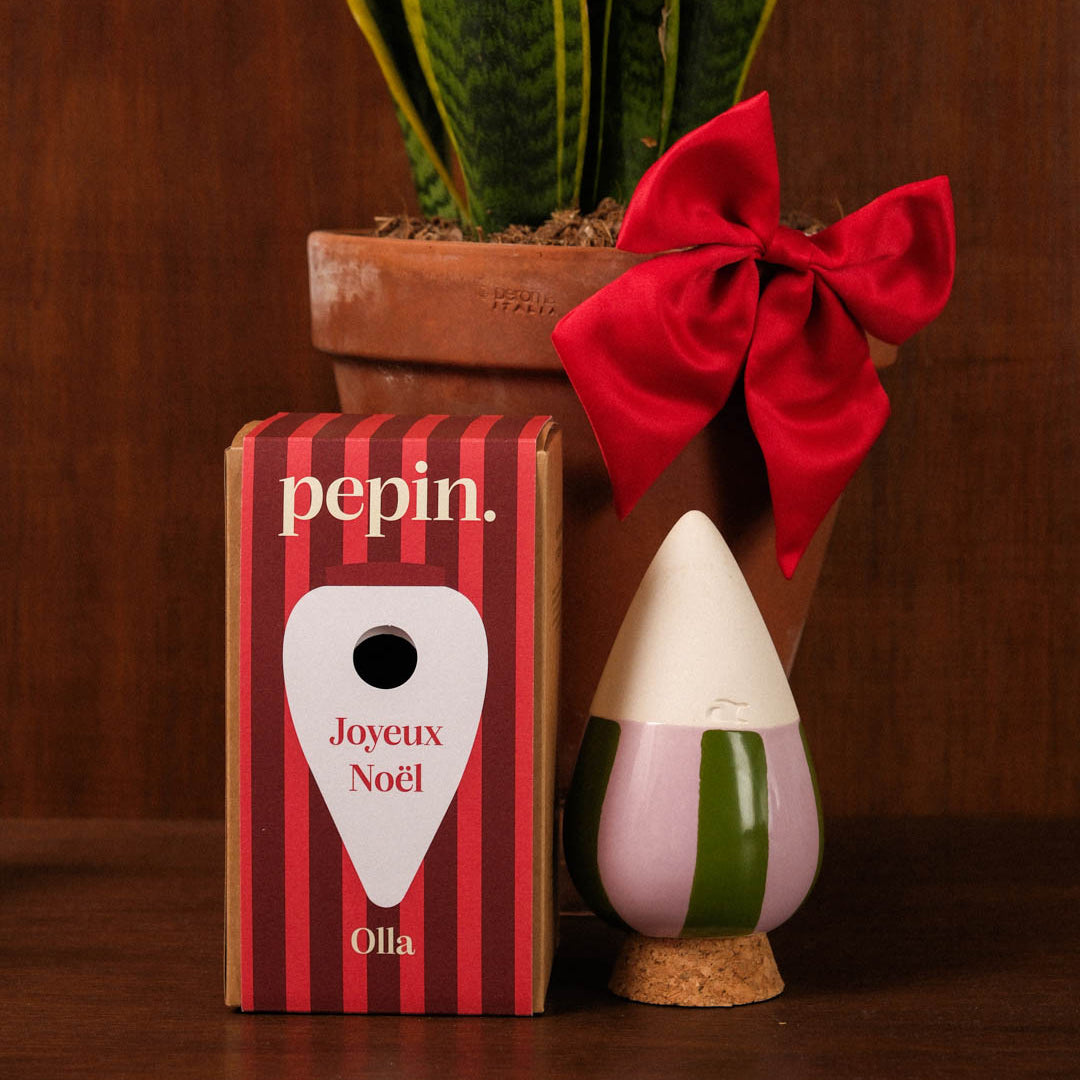 Limitierte Weihnachtsedition – Grün und lila gestreift