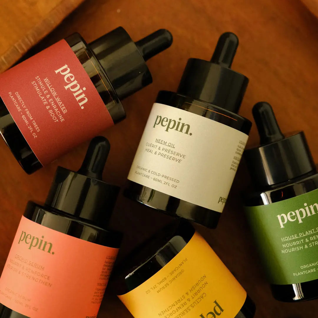 utvalg serum frø orkideer grønne planter kaktus neem olje pil vann