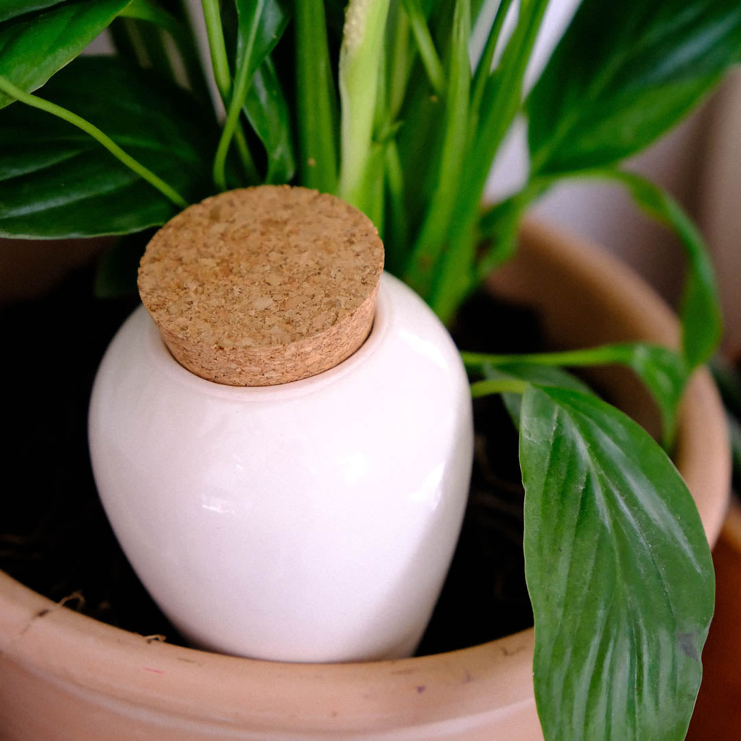 Olla – Reines Weiß