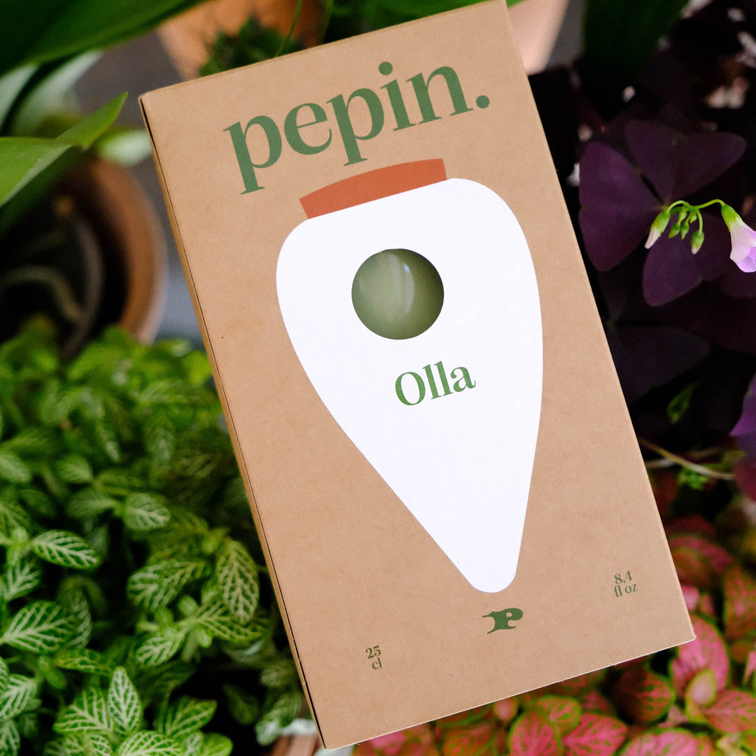 Olla - Grün