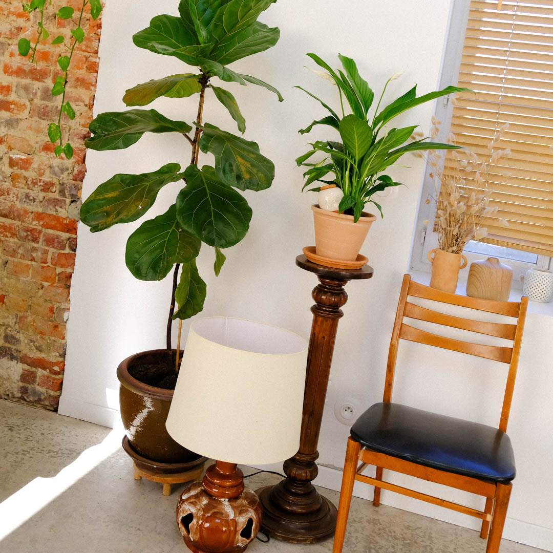 Olla - Bianco granulato