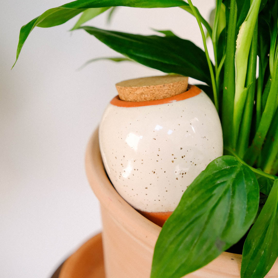 Olla - Bianco granulato