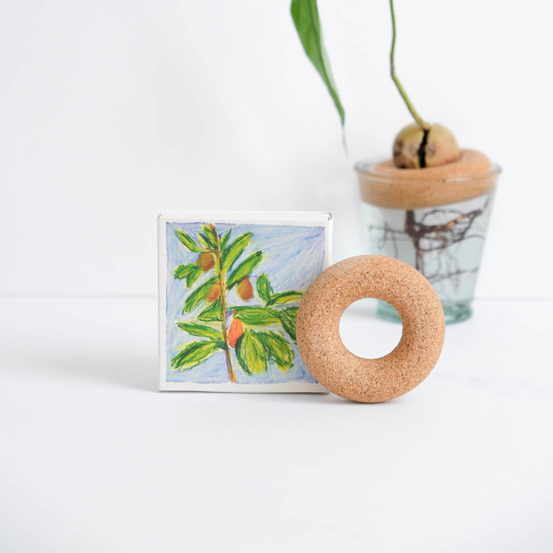 Avocado Zwemband – Samantha Kerdine