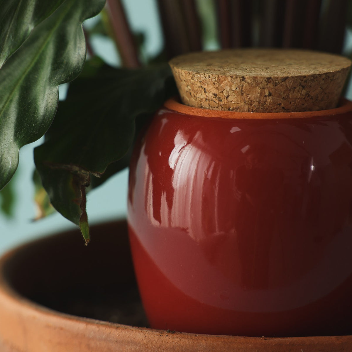 Olla – Bordeauxrot