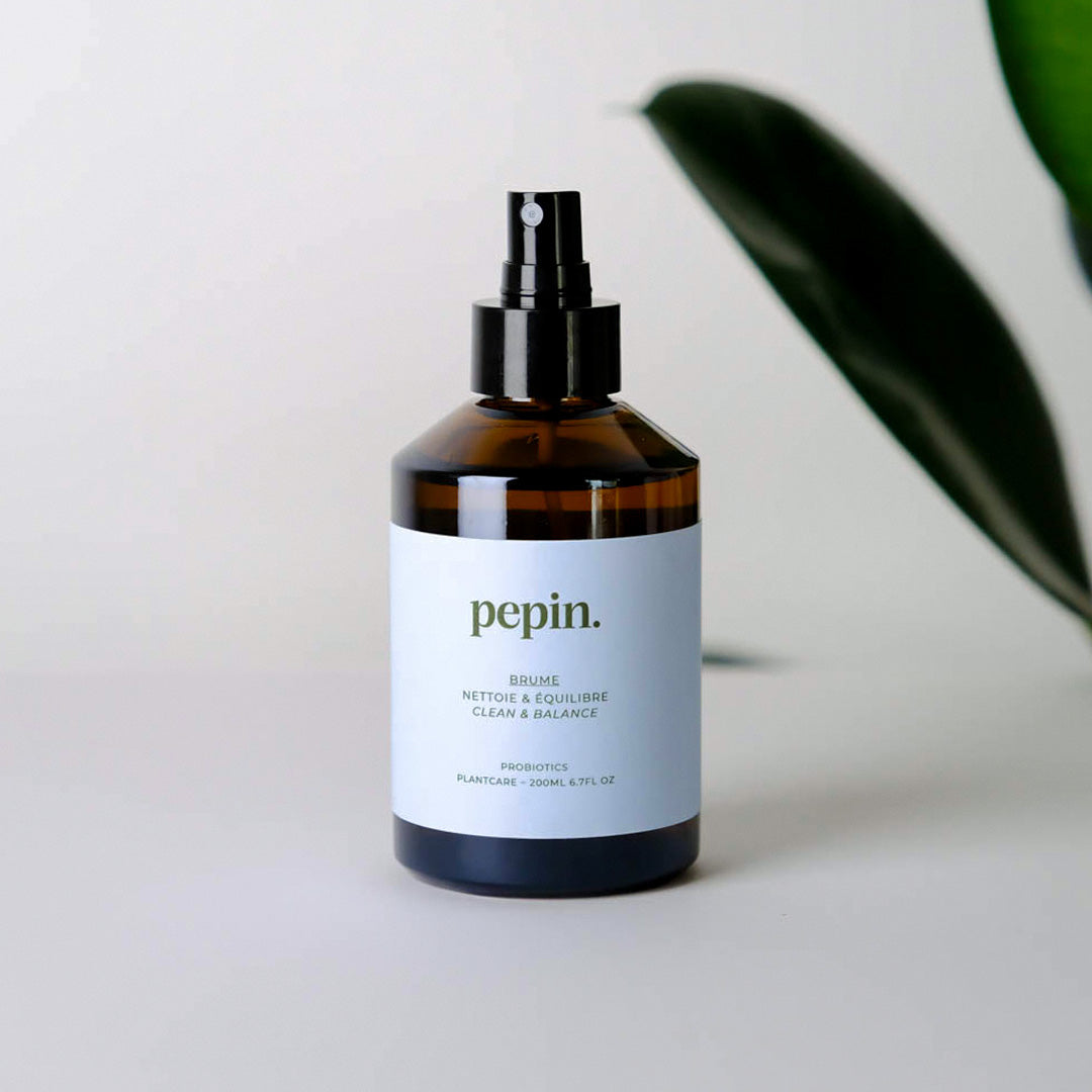 Plant Shine Spray Fr Knstliche Pflanzen  Reiniger Mit Glanzeffekt 100ml  Fr Kunstgrn & Weihnachtsdeko