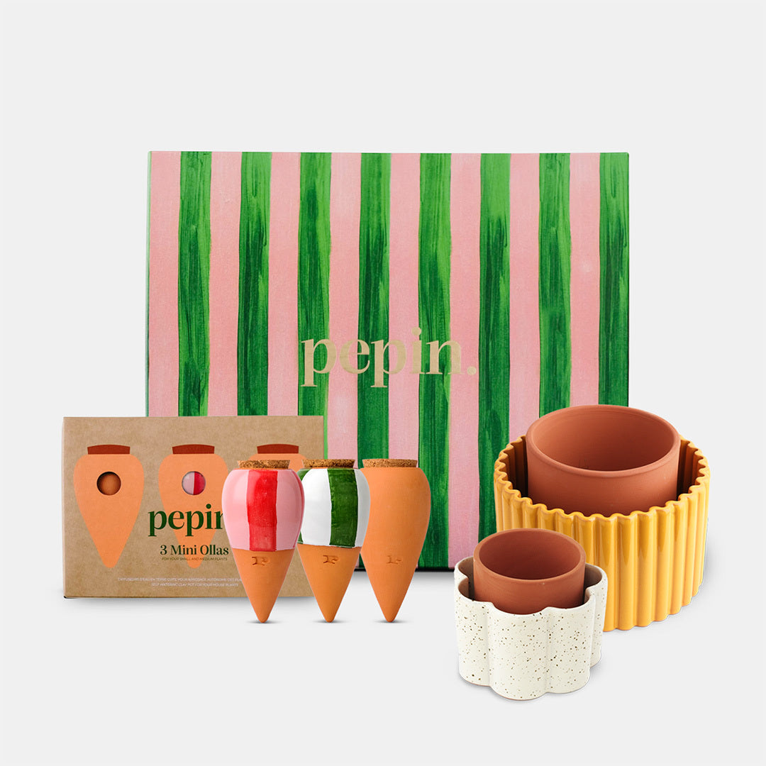 Caixa de presente - Pepin's Essentials