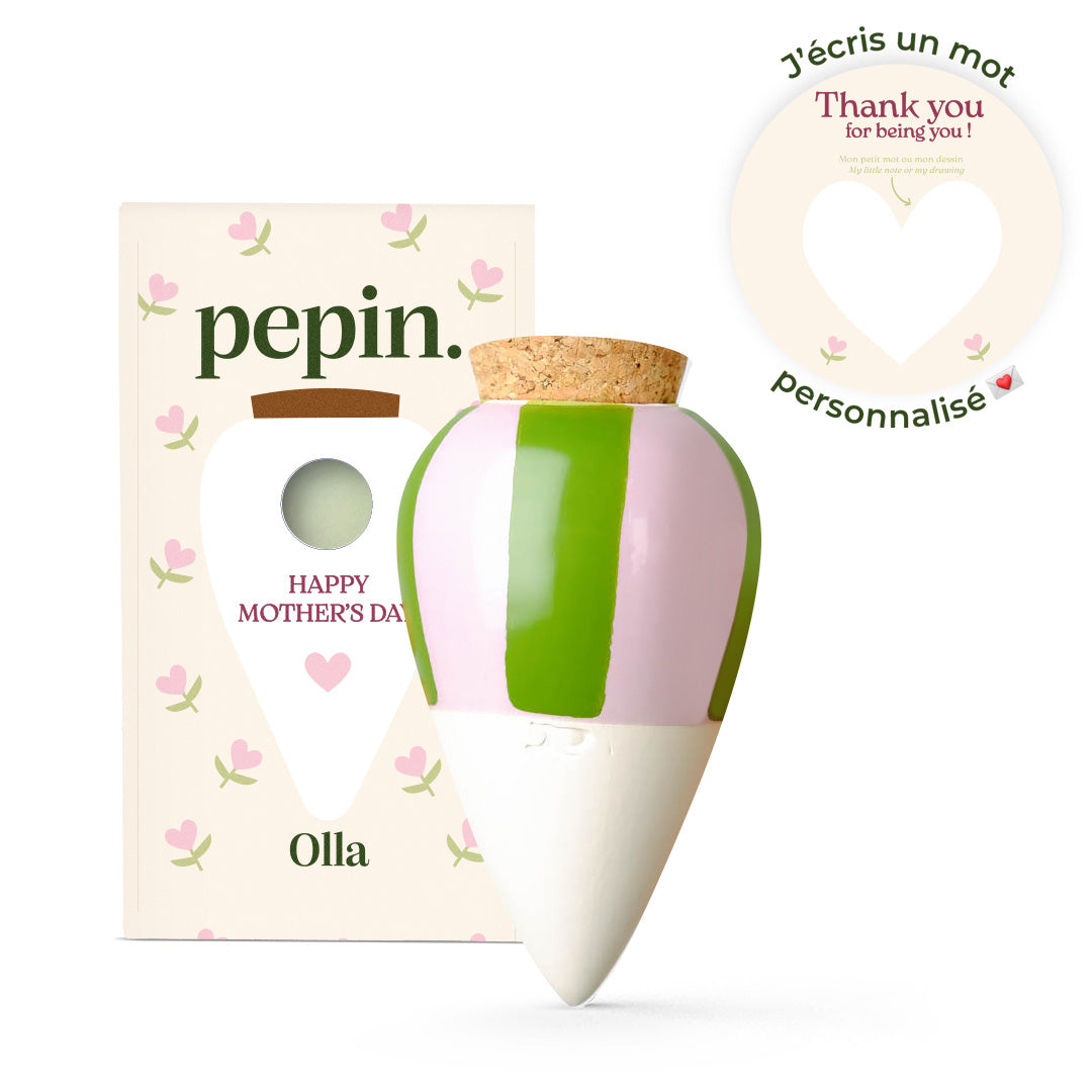 Édition limitée Fête des mères - Olla Rayé vert et lilas