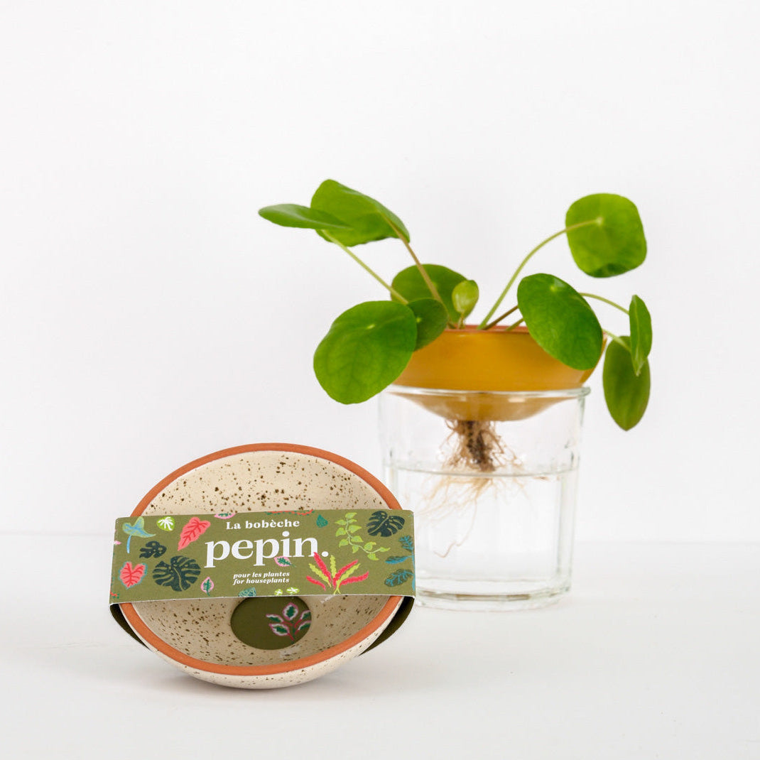 Bobèche Avocado - Rakeinen valkoinen