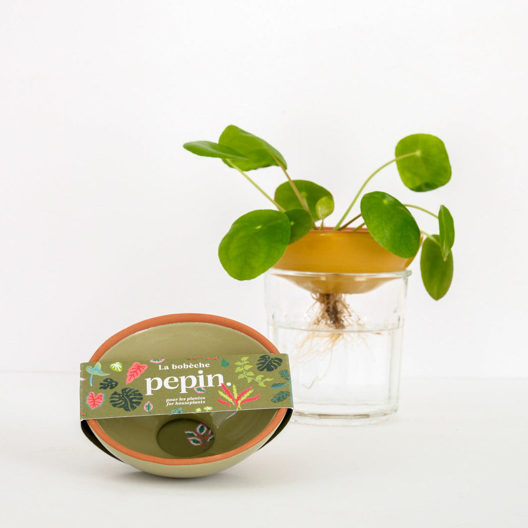 Bobèche Avocado - Sage Green