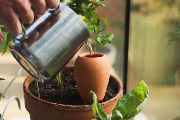 Oya en terre cuite : le guide complet pour arroser vos plantes d'intérieur pendant les vacances (et enfin partir l'esprit libre)