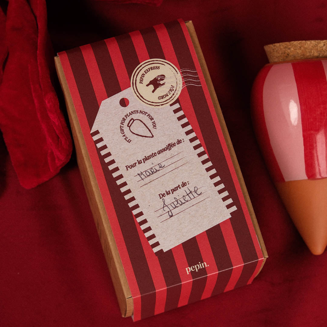 Édition limitée Noël - Olla Rayé rose et rouge