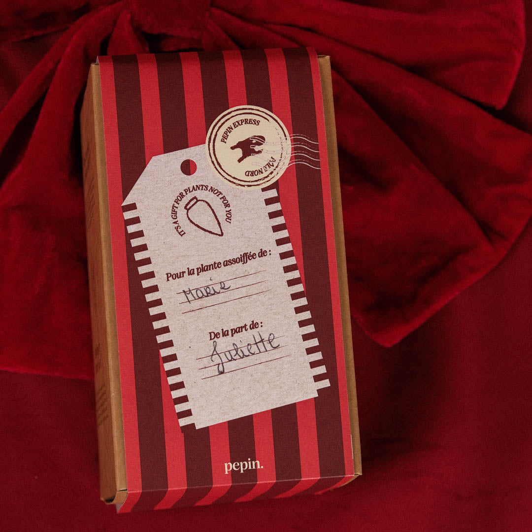 Édition limitée Noël - Olla Blanc grainé