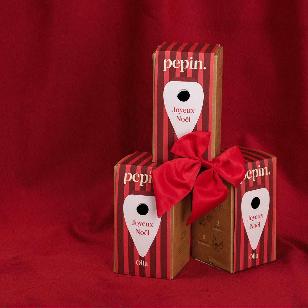 Édition limitée Noël - Olla Rayé rose et rouge