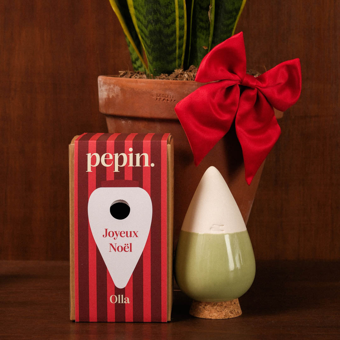 Limitierte Weihnachtsedition – Grün