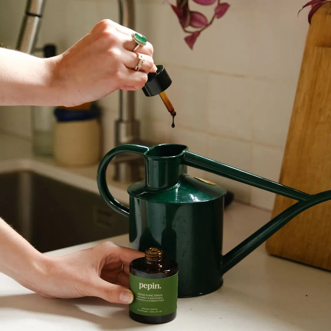 demonstration ajouter le serum nourrissant pepin pour plantes vertes dans un arrosoir