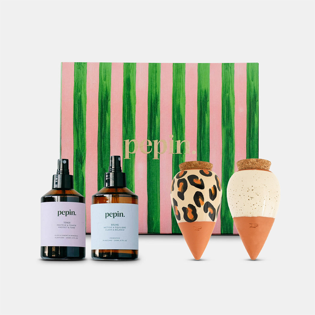 Caja de regalo - Los Icónicos