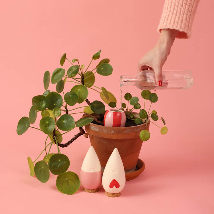 Trio Mini Olla - De Lovers