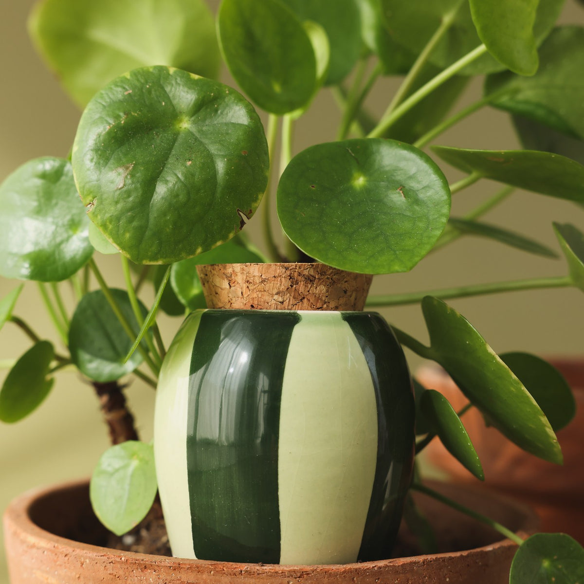 Trio Mini Ollas - Les Verts