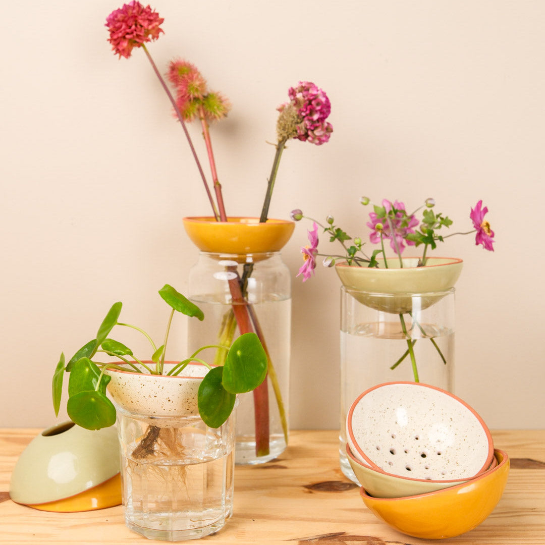 Bobèche Avocado - Sinapinkeltainen