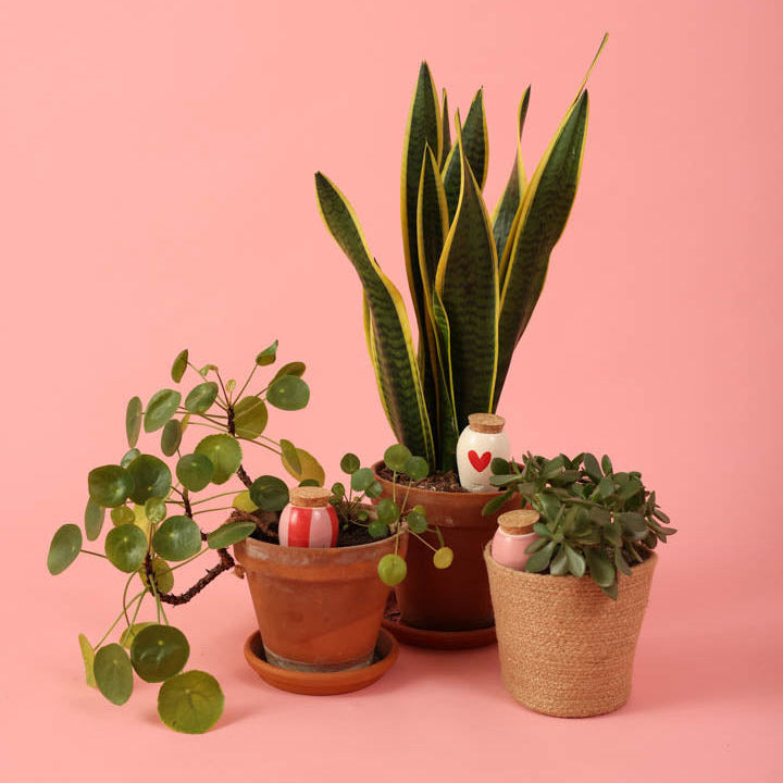 Trio Mini Ollas - Lovers