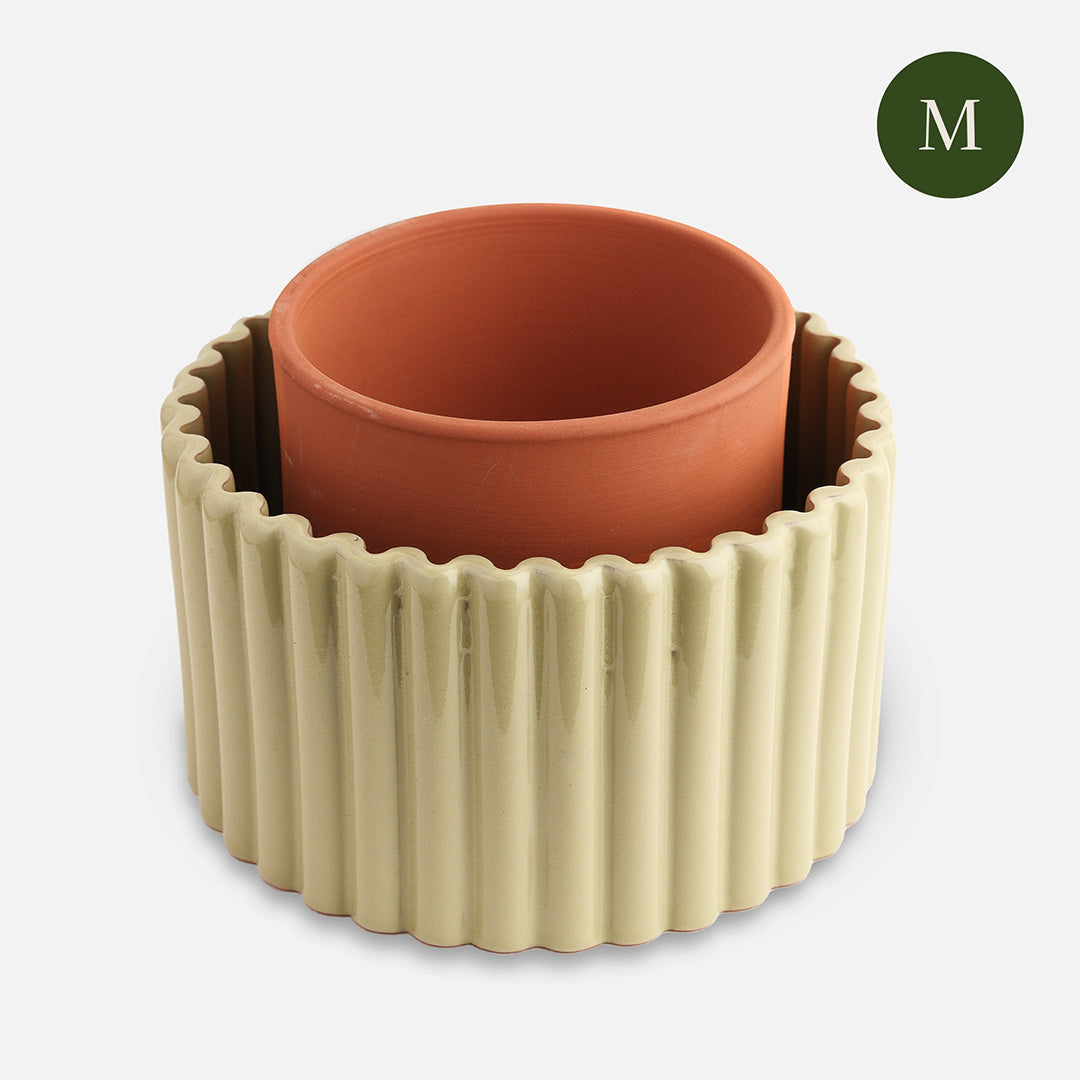 Paula (M) - Sage green