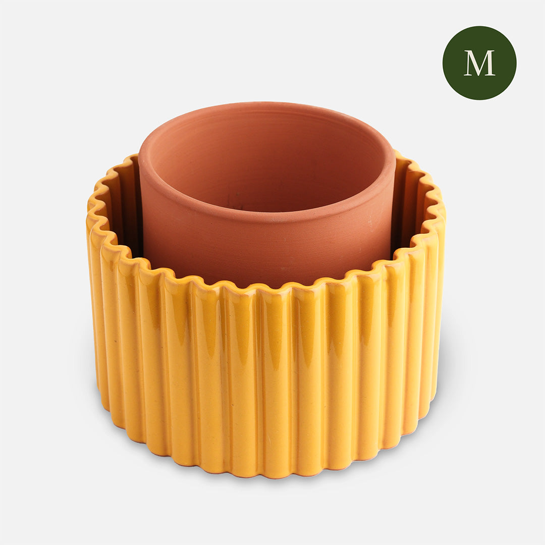 Paula (M) - Mustard yellow