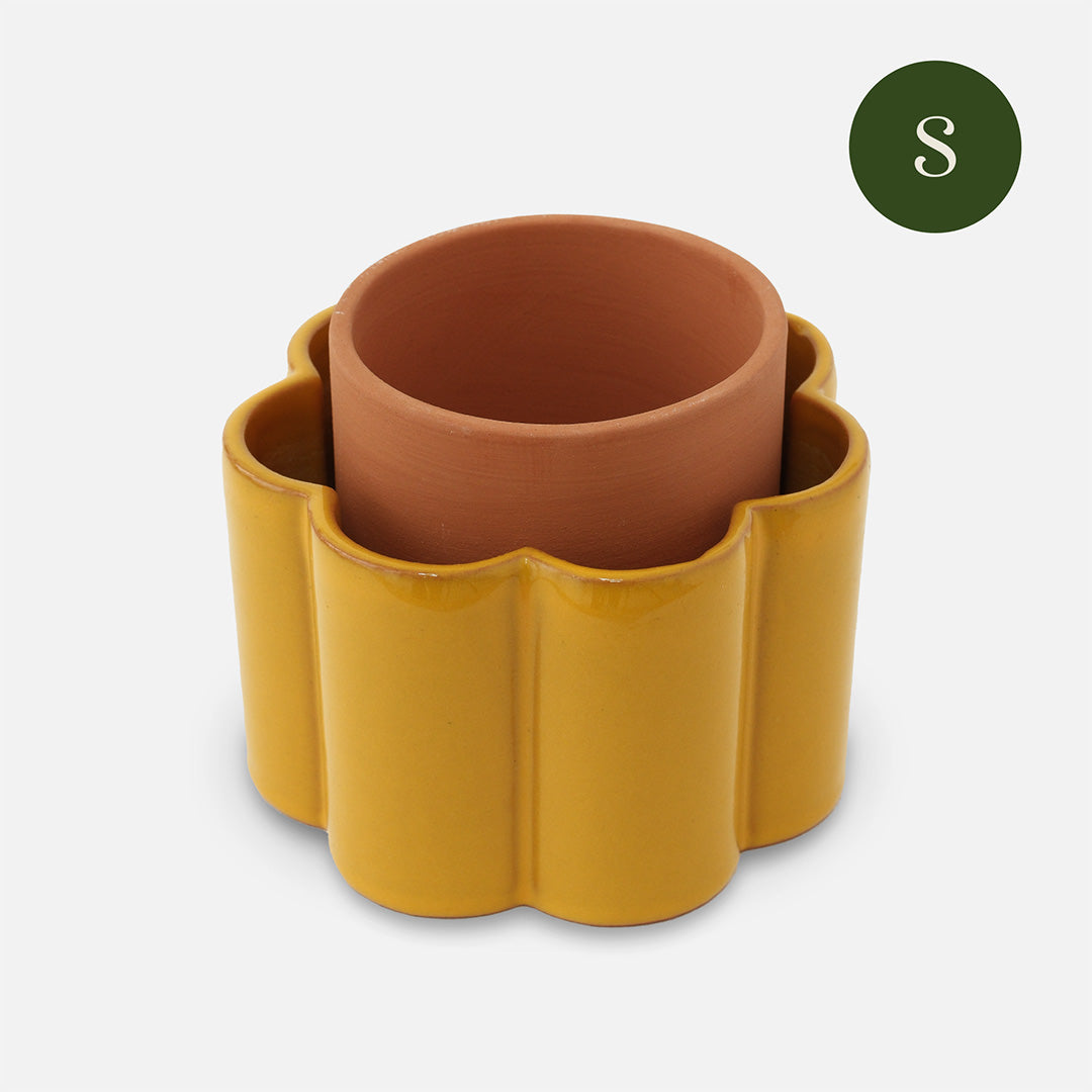 Paula - Mustard Yellow