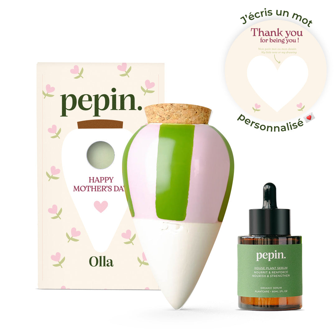 Coffret Fête des mères - Rayé vert et lilas