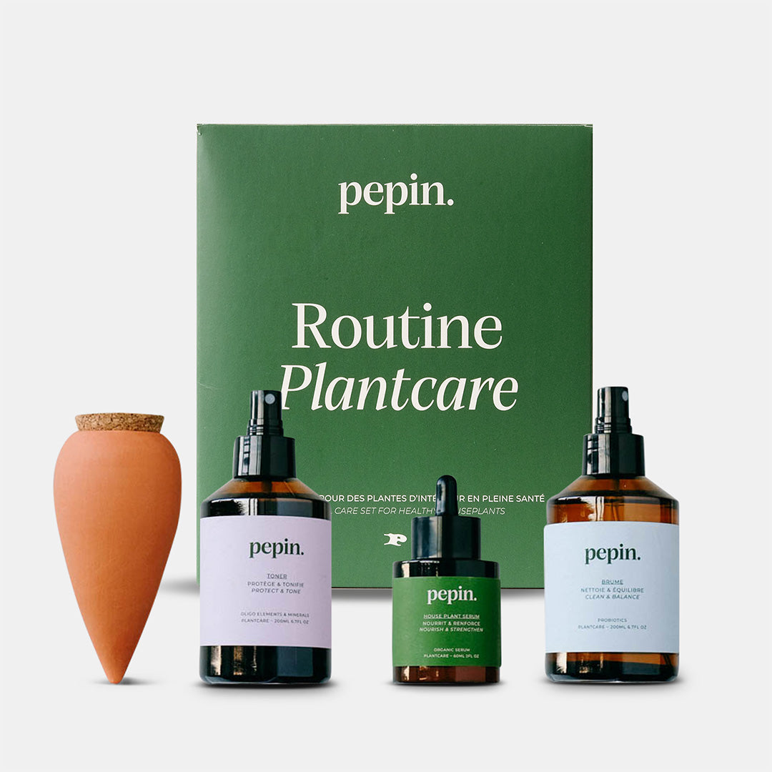 Plantcare routine